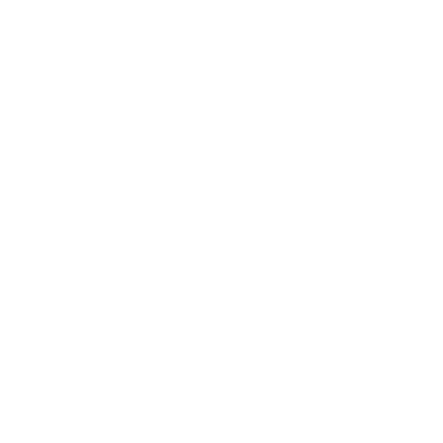 SOLEO Logo